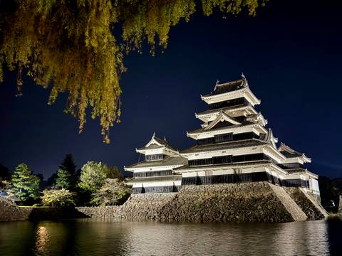       Illuminated multi-tiered Japanese castle stands against a starry night sky with hanging foliage.
  