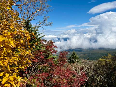       Colorful autumn foliage frames a panoramic mountain and cloudscape view.
  