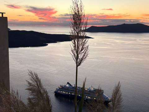       Santorini caldera at sunset with cruise ship below, foregrounded by a tall plant silhouette.
  