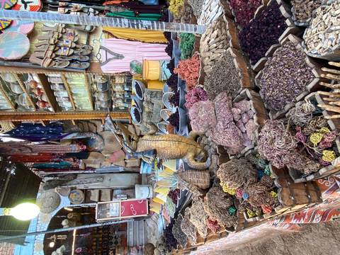       A spice and souvenir stall packed with colorful herbs, jars, fabrics and a carved crocodile figurine.
  