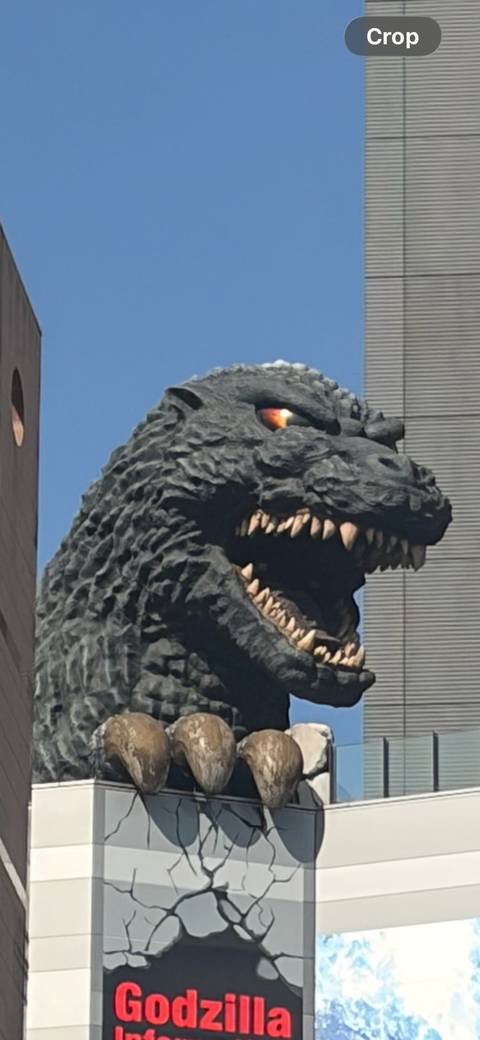       Photo d'avis client sur 9D Splendide Japon - Hôtels privés 3 étoiles - D'Osaka à Tokyo 
  