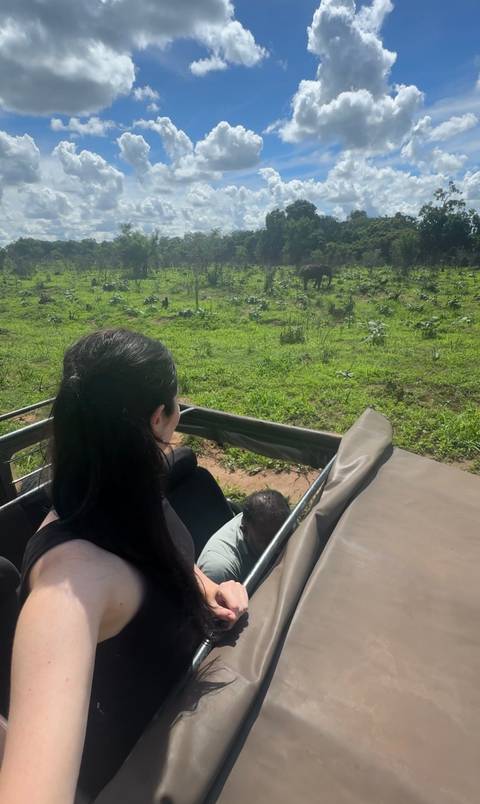       A woman in a safari jeep watches an elephant grazing on lush green grass in Sri Lanka.
  