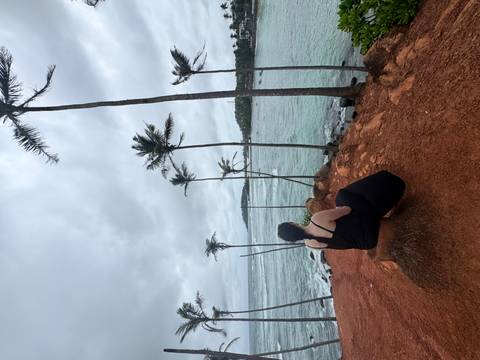       A woman in a long black dress sits on a red-earth cliff overlooking palm trees and a grey tropical sea.
  
