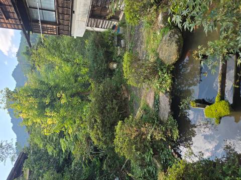       A serene garden pond bordered by moss-covered stones and dense greenery reflects the surrounding foliage.
  