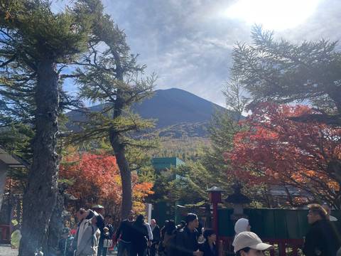       Forested foreground frames Mount Fuji under a bright sky with autumn colours.
  