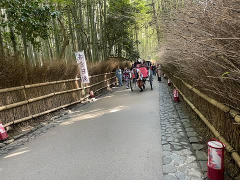       Rickshaws and tourists move through the serene bamboo grove pathway in Kyoto.
  