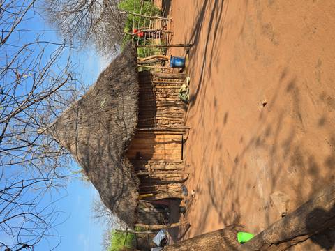       Traditional round hut with thatched roof in a sandy village setting.
  