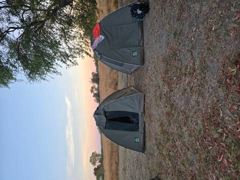       Two dome tents pitched on dry grassland at dusk with pastel sky.
  
