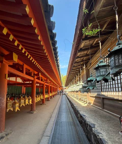       Covered walkway with red pillars and hanging lanterns at a Japanese shrine.
  