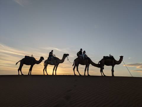       Silhouetted camel riders atop a dune against a glowing sunset sky.
  