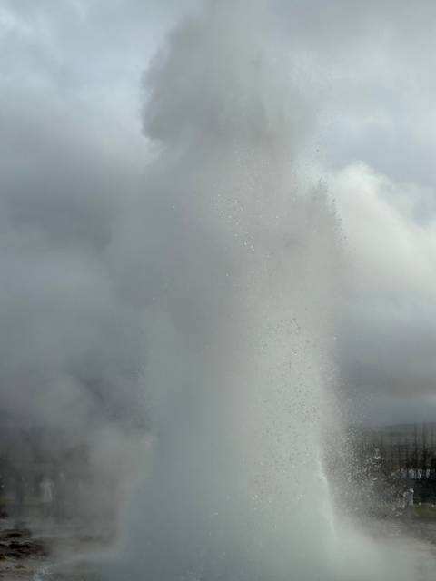       Close-up of a geyser eruption with a dense column of steam against a gray sky.
  