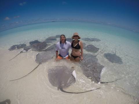       Man and woman kneel in shallow clear water surrounded by curious stingrays on a sandbank.
  