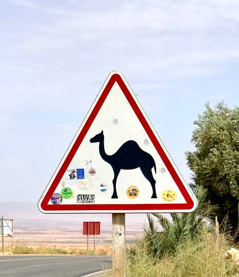      Triangular road sign featuring a camel silhouette against a pale desert sky, covered in travel stickers.
  