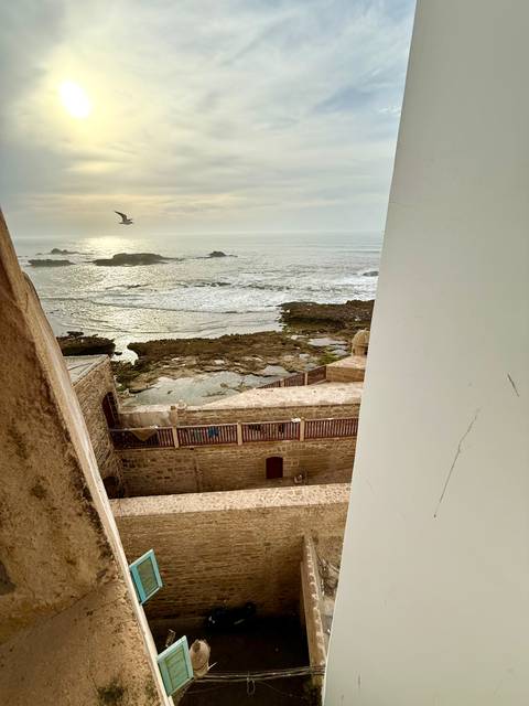       Coastal view from Essaouira ramparts over rocky shoreline and Atlantic waves with a flying gull.
  