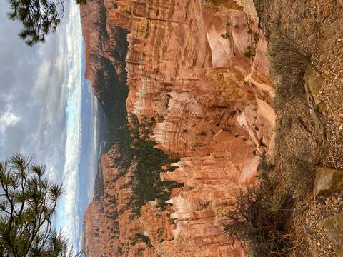       Panoramic overlook of Bryce Canyon showing hoodoos and forested plateau beneath a cloudy sky.
  