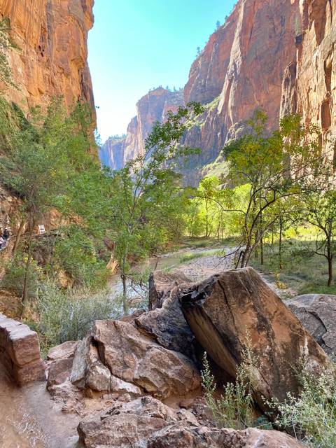       Shaded river trail flanked by green trees with towering canyon walls in Zion National Park.
  