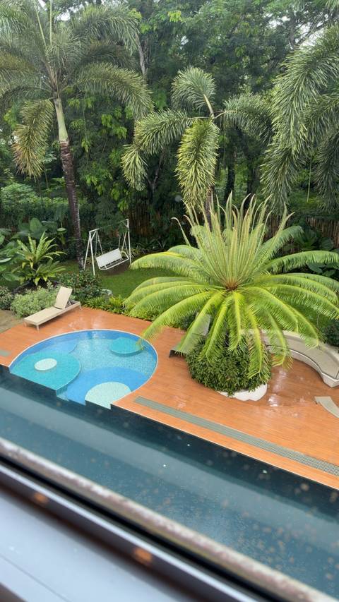      Top-down view of a small circular plunge pool, sun lounger and lush palm tree in a tropical garden setting.
  