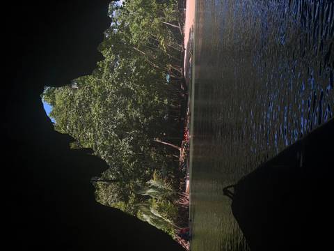       View from inside a dark cave mouth toward a tree-lined riverbank with kayakers in the distance.
  