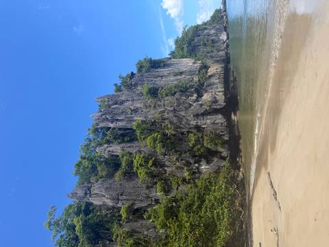       Dramatic limestone cliff covered in lush vegetation towers above a quiet sandy cove and green water.
  