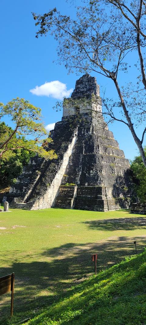 Ruins with trees in a vertical image.