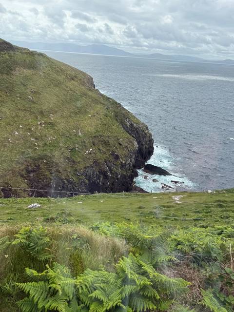 Cliffside with ocean view and green foliage.