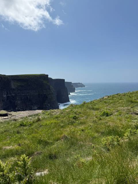 Steep cliffs with coastal view in a verdant area.