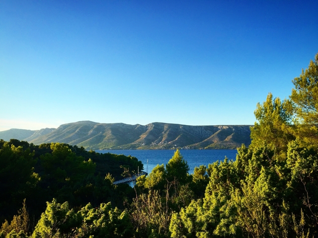 Scenic landscape with sea and green hills.