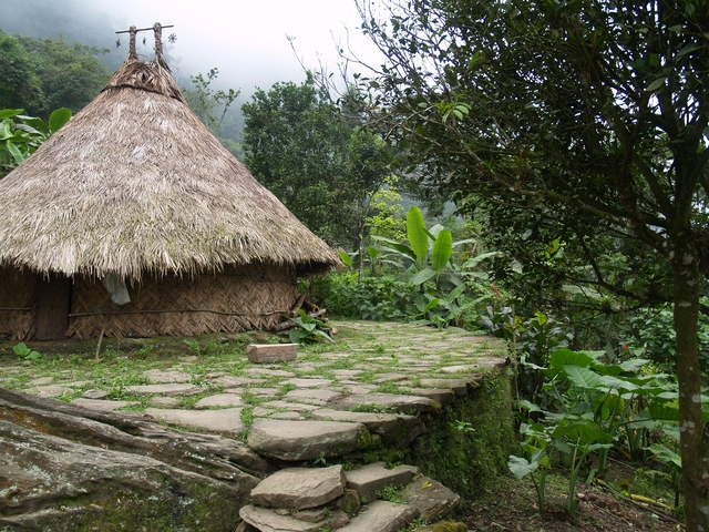 A traditional thatched-roof hut in a forested area.