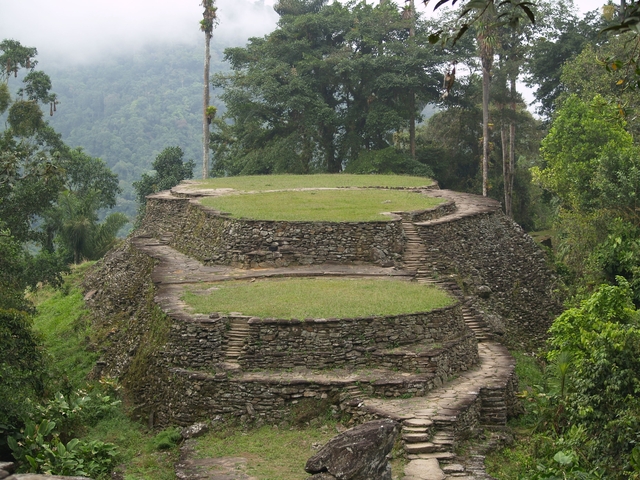       Stone terraces surrounded by dense forest.
  