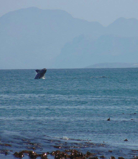 Klantbeoordelingsfoto van 2 daagse Wow Kaap Ontsnapping 