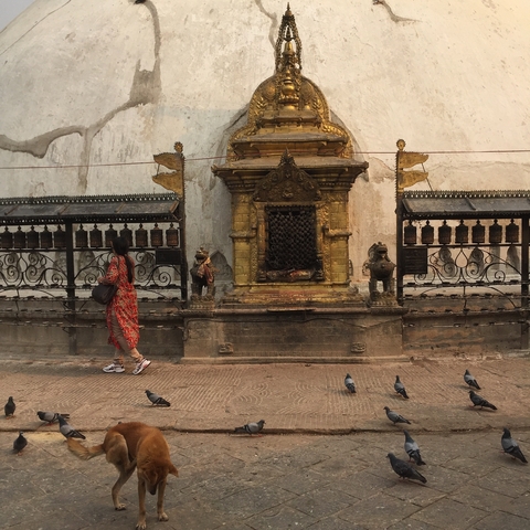       Person walking next to a golden shrine and prayer wheels.
  