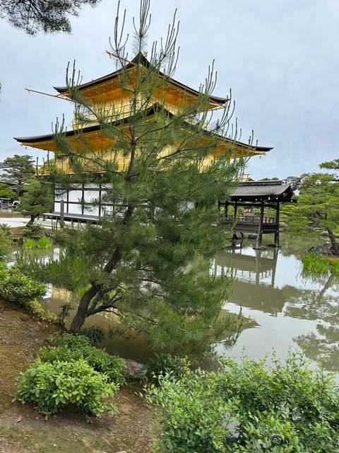       Golden Pavilion with trees and pond in the foreground.
  