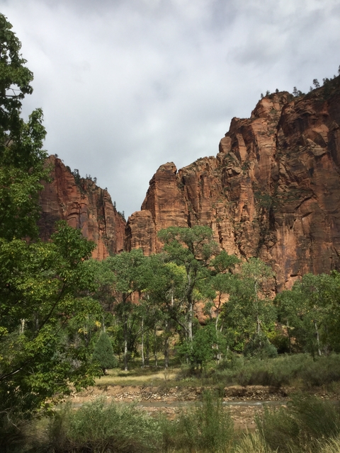 Tall red rock formations in a green forest setting.