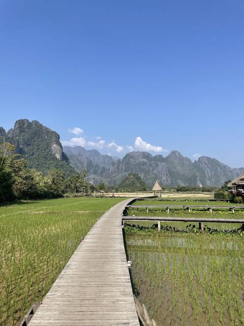 A long wooden bridge crossing over a field towards mountains.