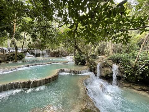 Waterfall cascading into a pool surrounded by vegetation.