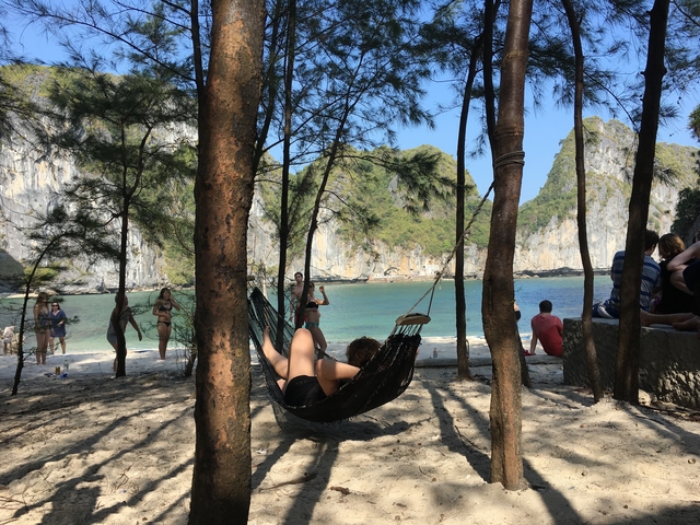 People relaxing on a hammock with beach view.