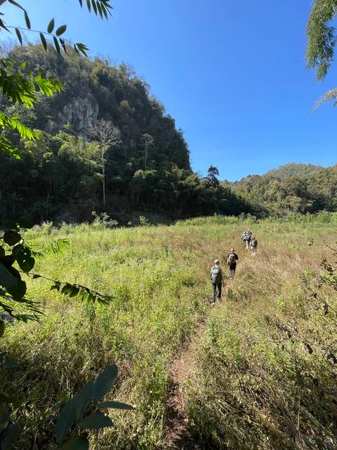 Hikers walking through a field with a mountain in the background.