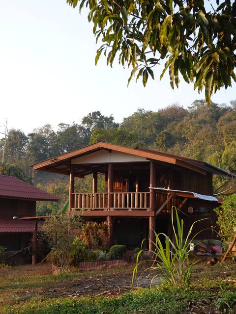       Wooden house surrounded by lush green foliage.
  