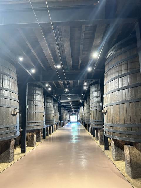 Interior of a wine cellar with large barrels.