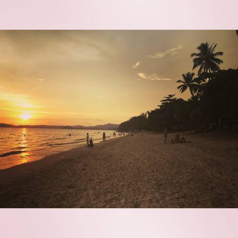       People on a beach during sunset with palm trees.
  