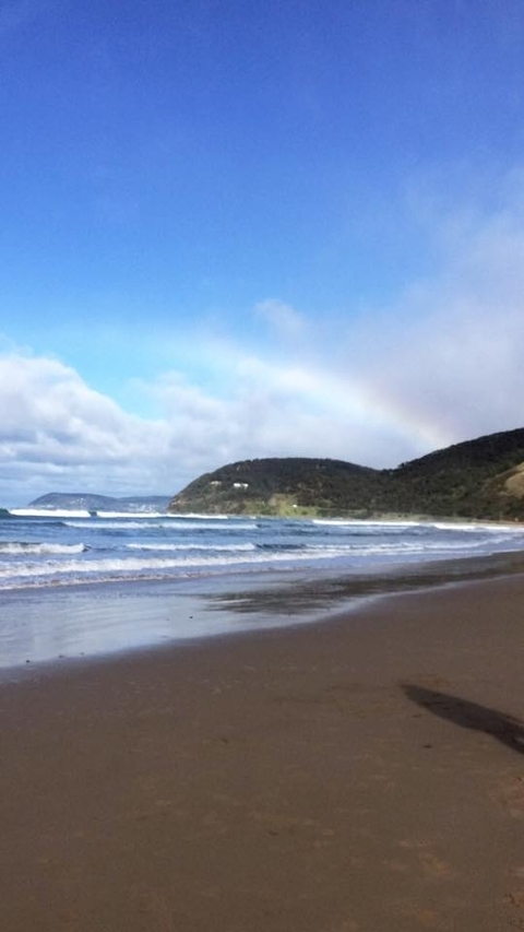       Photo d'avis client sur Great Ocean Road et Rainforest Walk 1 JOUR 
  