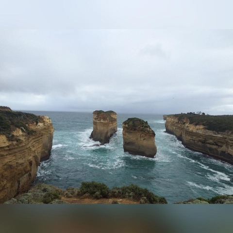       Photo d'avis client sur Great Ocean Road et Rainforest Walk 1 JOUR 
  
