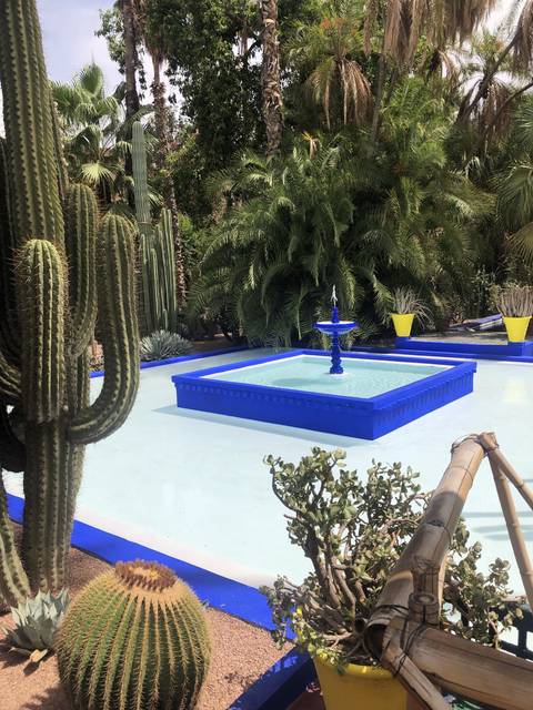       Colorful garden with a blue fountain surrounded by palm trees and cacti.
  