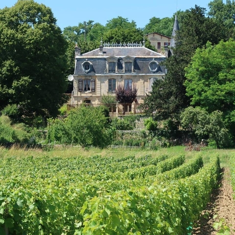 Klantbeoordelingsfoto van Fietstocht door de Provence, Frankrijk - groepstocht met gids 