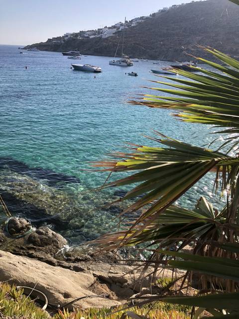 A beach scene with clear blue water and palm trees.