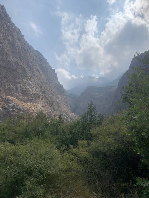 Mountainous landscape with clouds and vegetation.