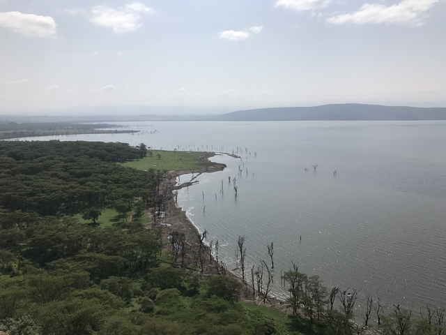 An aerial view of a lake with a dense forest shore.