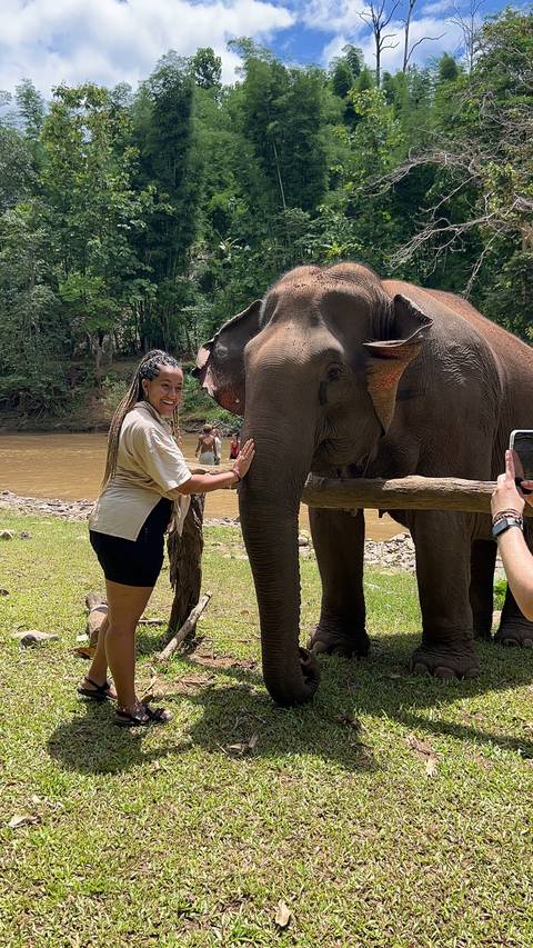 Person interacting with an elephant in a scenic green area.