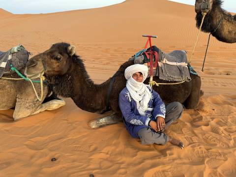 Person resting with a camel in the desert sand.