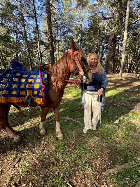 Woman standing with a horse in a forest area.